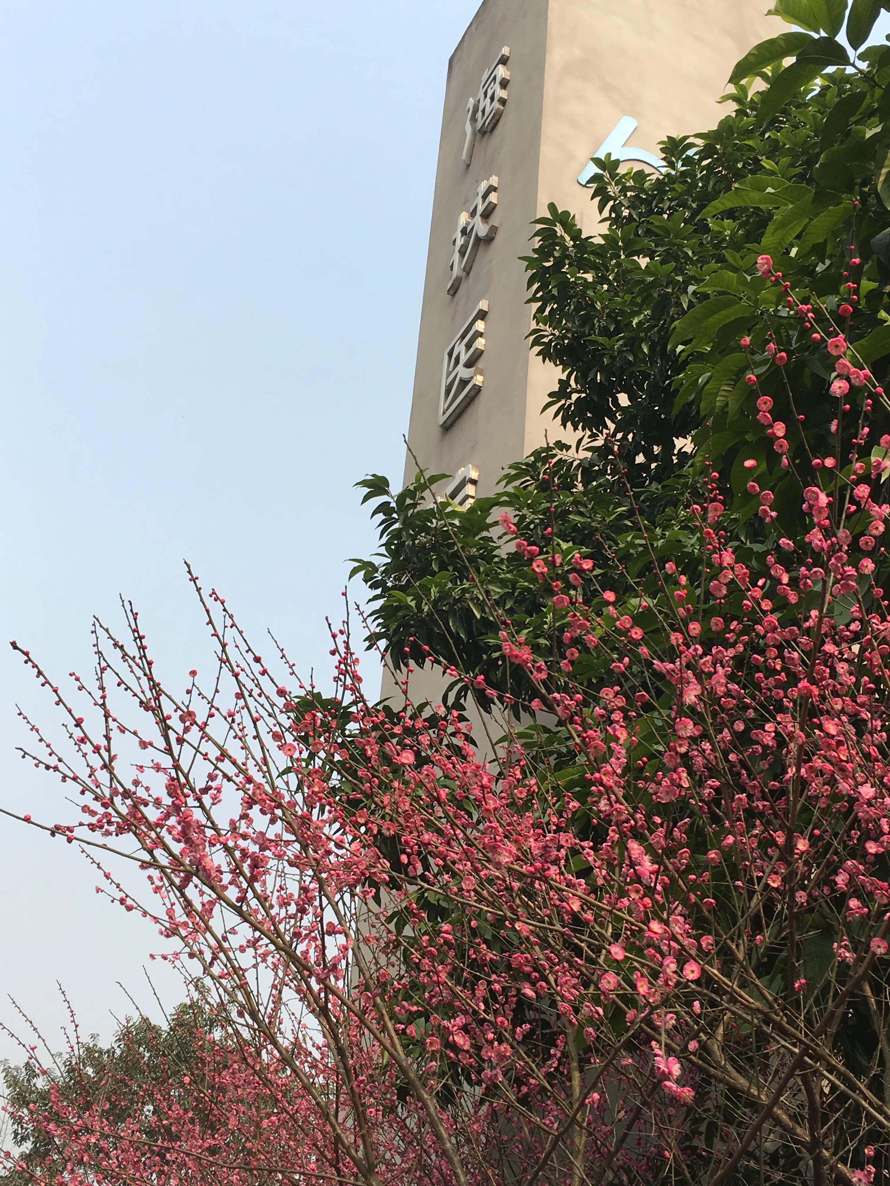 Campus Grounds3